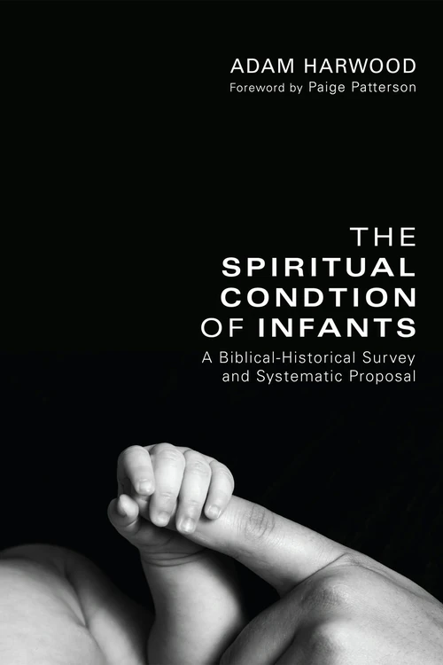 Cover of The Spiritual Condition of Infants