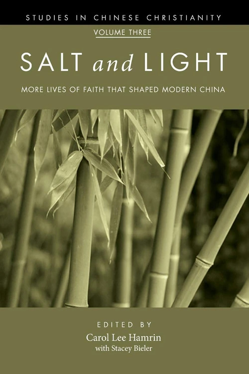 Cover of Salt and Light, Volume 3