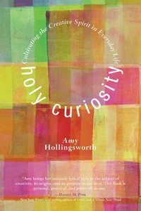 Cover of Holy Curiosity