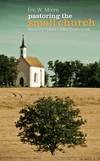 Cover of Pastoring the Small Church