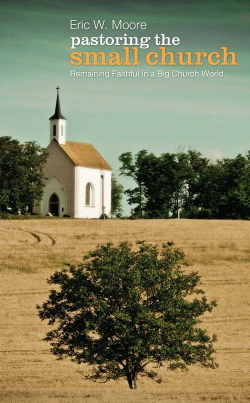 Cover of Pastoring the Small Church