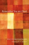 Cover of Remember You Are Dust
