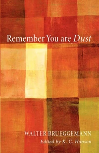 Cover of Remember You Are Dust