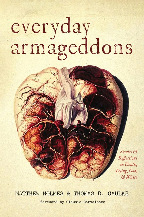 Cover of Everyday Armageddons