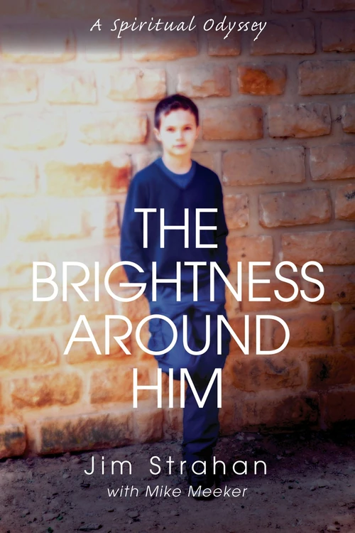 Cover of The Brightness Around Him