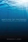 Cover of Waters of Promise