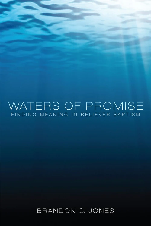 Cover of Waters of Promise