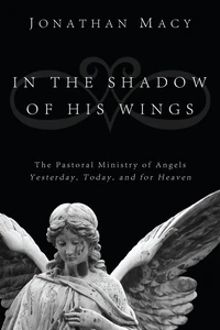 Cover of In the Shadow of His Wings