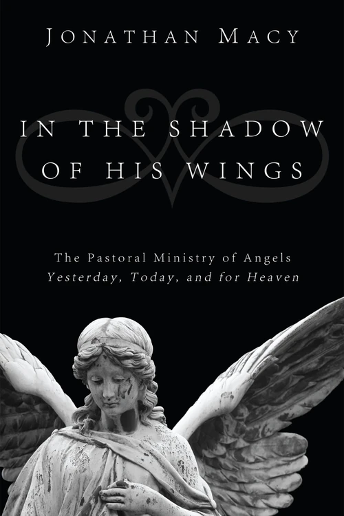 Cover of In the Shadow of His Wings