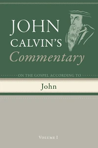 Cover of Commentary on the Gospel According To John, Volume 1