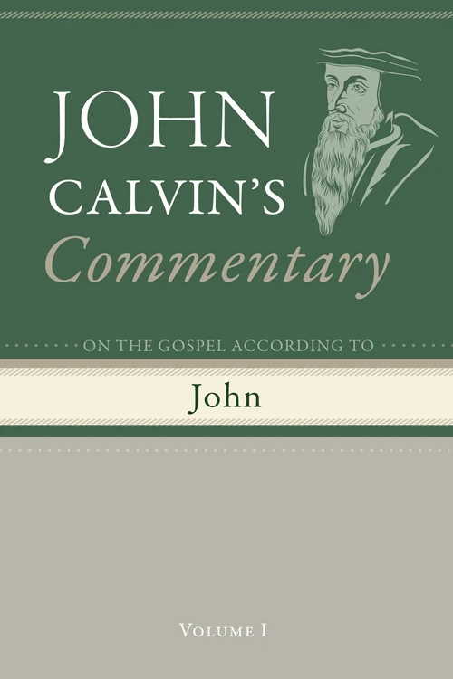Cover of Commentary on the Gospel According To John, Volume 1