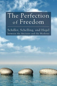 Cover of The Perfection of Freedom