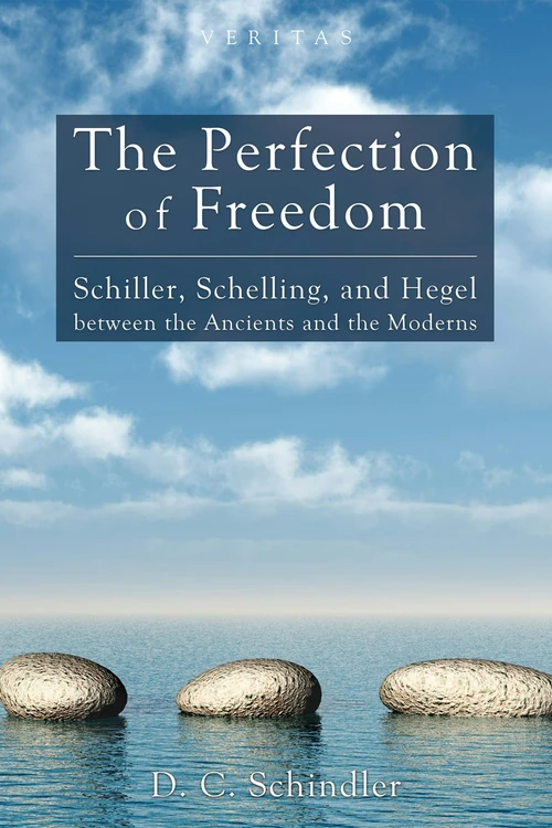 Cover of The Perfection of Freedom