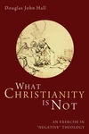 Cover of What Christianity Is Not