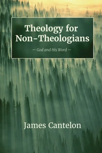 Cover of Theology for Non-Theologians