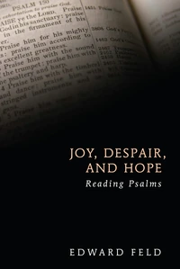 Cover of Joy, Despair, and Hope