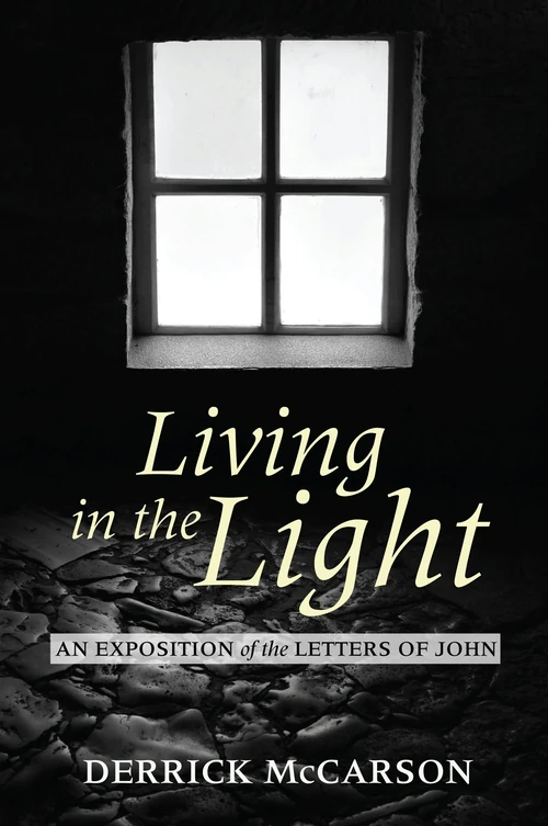 Cover of Living in the Light