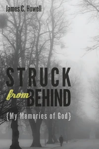 Cover of Struck from Behind