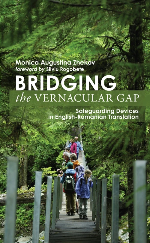 Cover of Bridging the Vernacular Gap