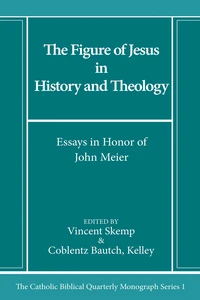 Cover of The Figure of Jesus in History and Theology