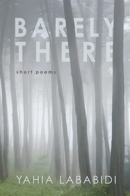 Cover of Barely There