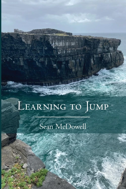 Cover of Learning to Jump