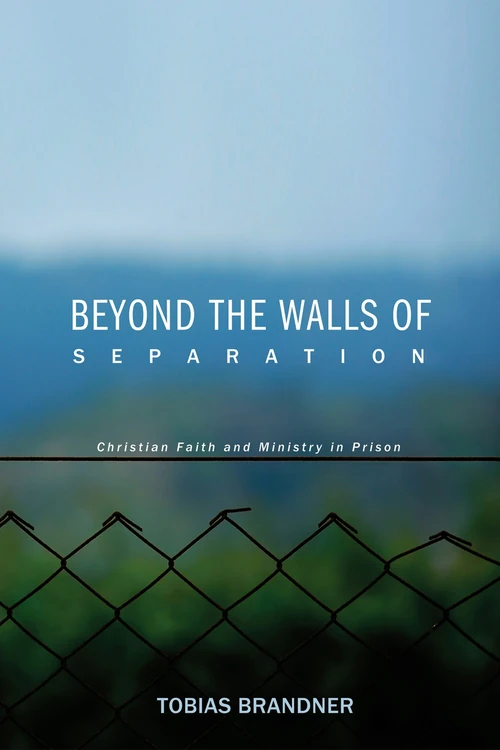 Cover of Beyond the Walls of Separation