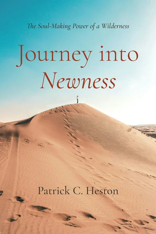 Cover of Journey into Newness