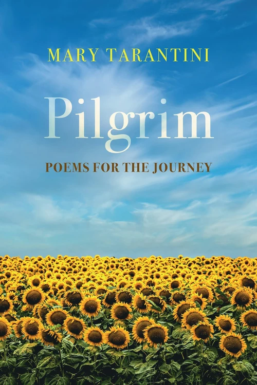 Cover of Pilgrim