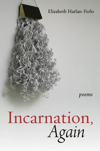Cover of Incarnation, Again