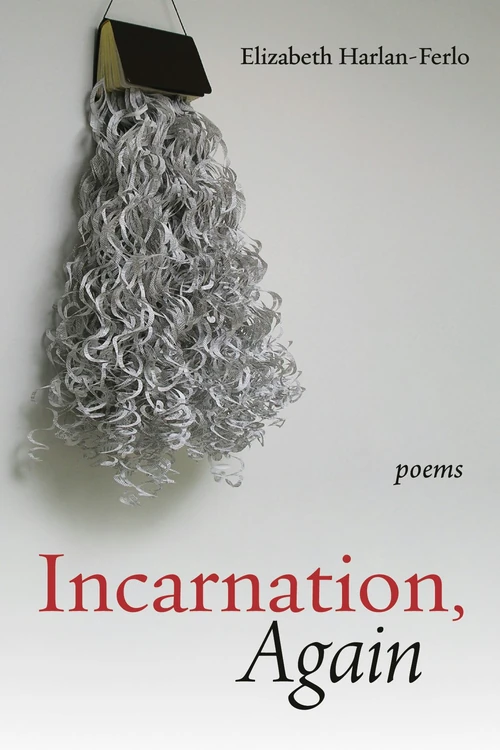 Cover of Incarnation, Again
