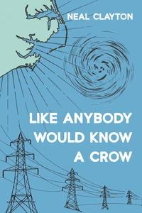 Cover of Like Anybody Would Know a Crow