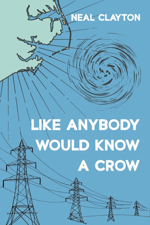 Cover of Like Anybody Would Know a Crow