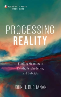 Cover of Processing Reality