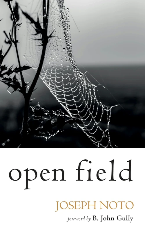 Cover of Open Field