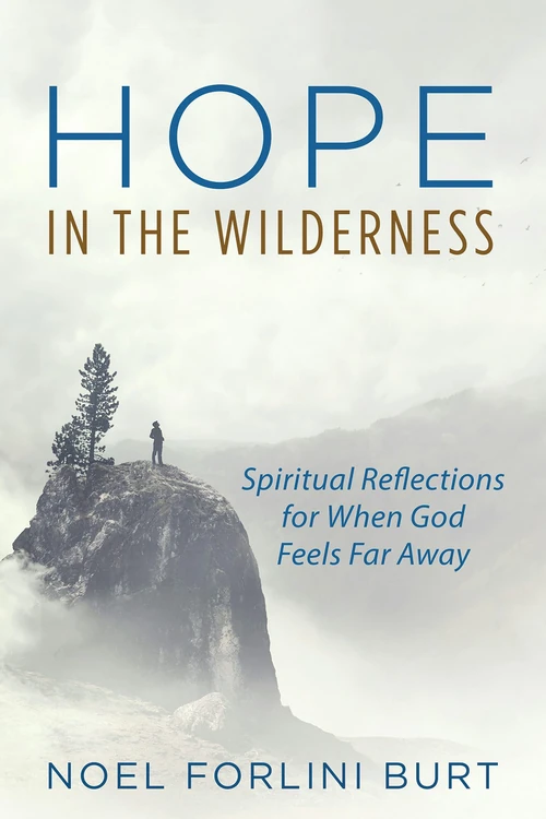 Cover of Hope in the Wilderness