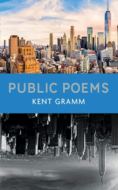 Cover of Public Poems