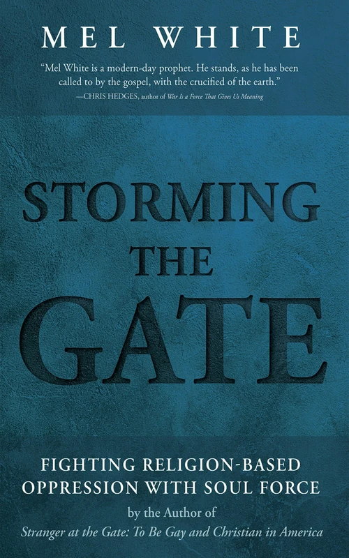 Cover of Storming the Gate