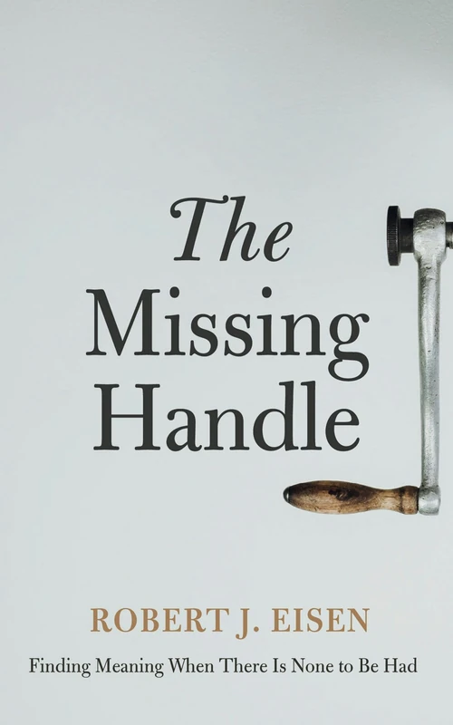Cover of The Missing Handle