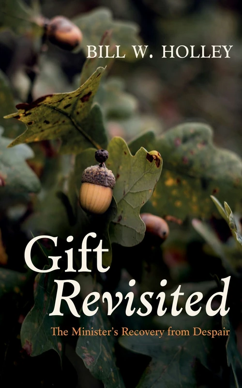 Cover of Gift Revisited
