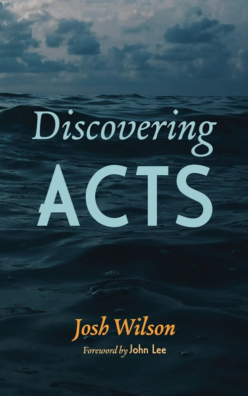 Cover of Discovering Acts