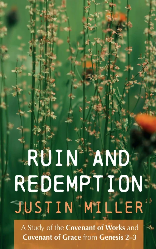 Cover of Ruin and Redemption