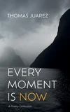 Cover of Every Moment Is Now