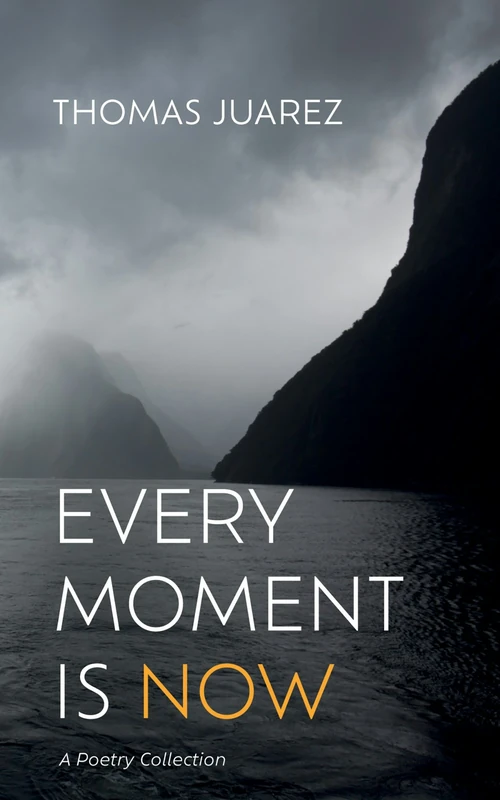Cover of Every Moment Is Now