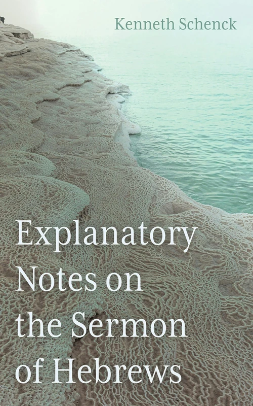 Cover of Explanatory Notes on the Sermon of Hebrews
