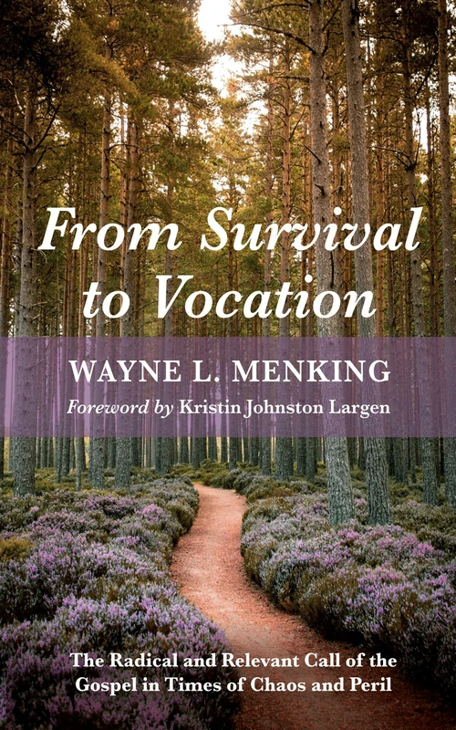 Cover of From Survival to Vocation