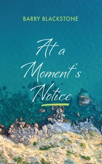 Cover of At a Moment’s Notice