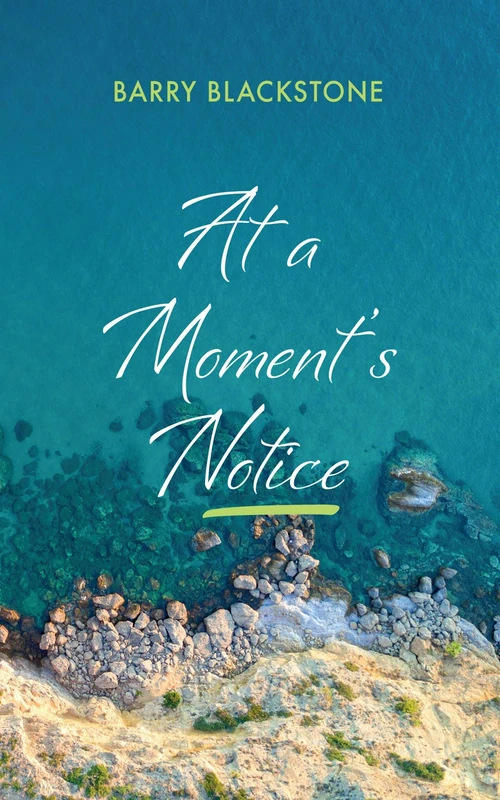 Cover of At a Moment’s Notice