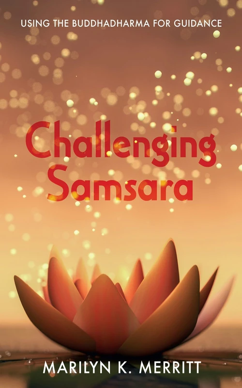 Cover of Challenging Samsara