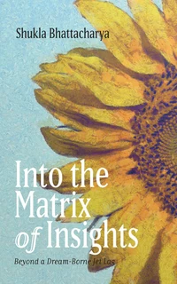 Cover of Into the Matrix of Insights